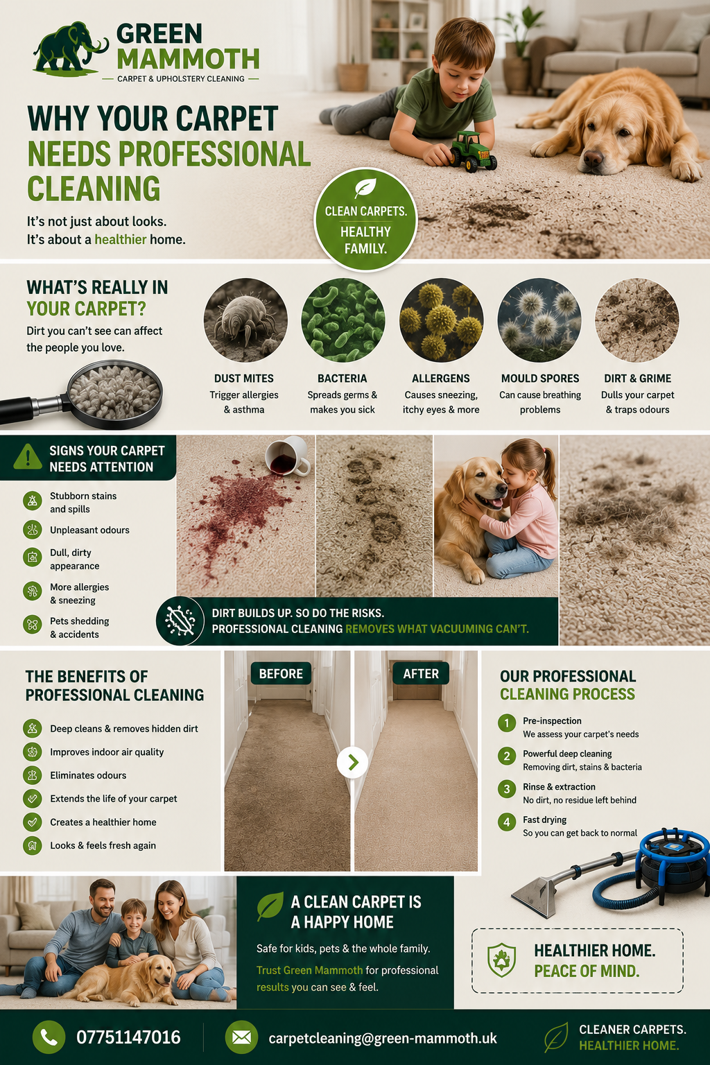 Deep Extraction Cleaning