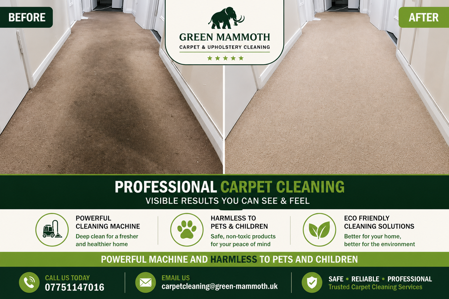Before and After Professional Carpet Cleaning