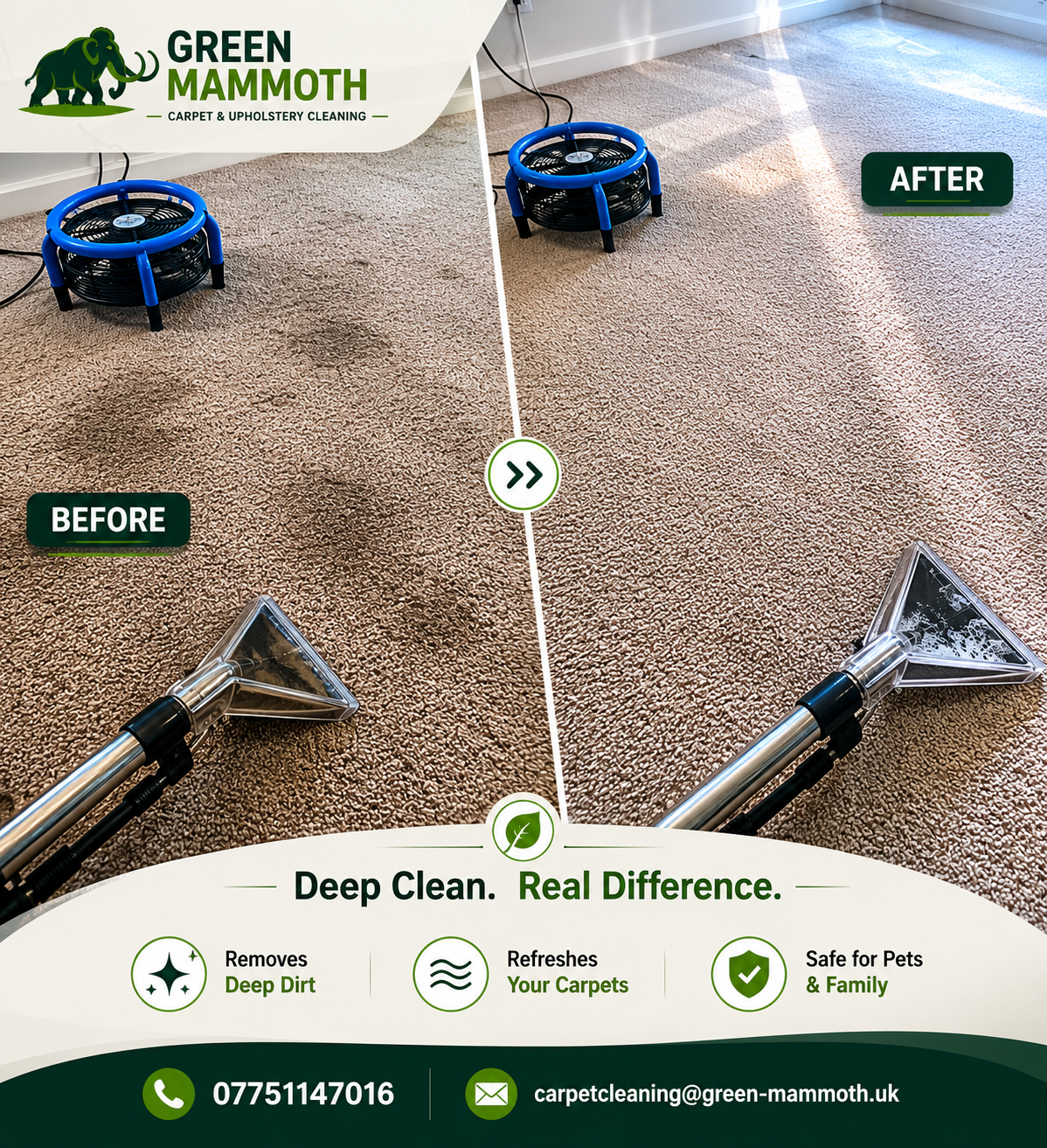 Upholstery Cleaning