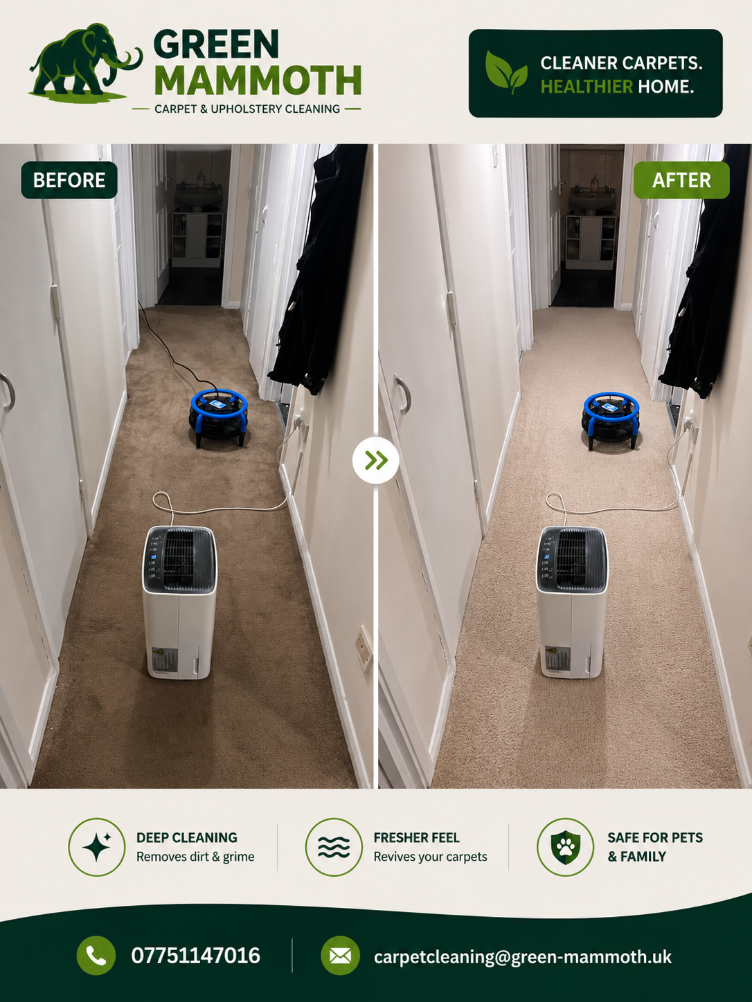 Pet Safe Cleaning
